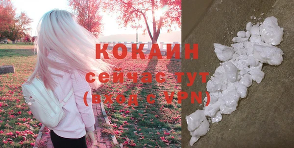 стаф Саяногорск