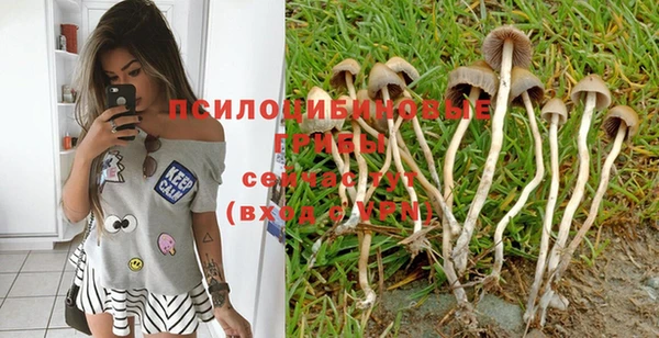 стаф Сафоново