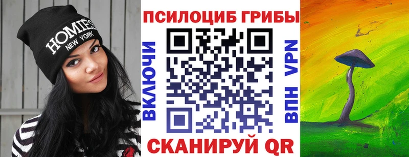 Галлюциногенные грибы Cubensis  Купить где  Магнитогорск 